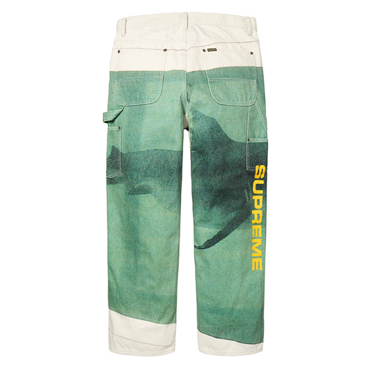 Supreme 25SS Damien Hirst Jeans